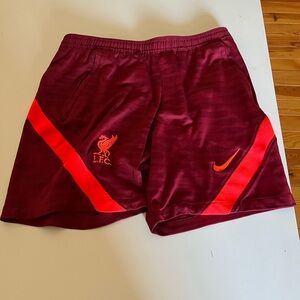 Nike Men's Maroon and Red Athletic Shorts